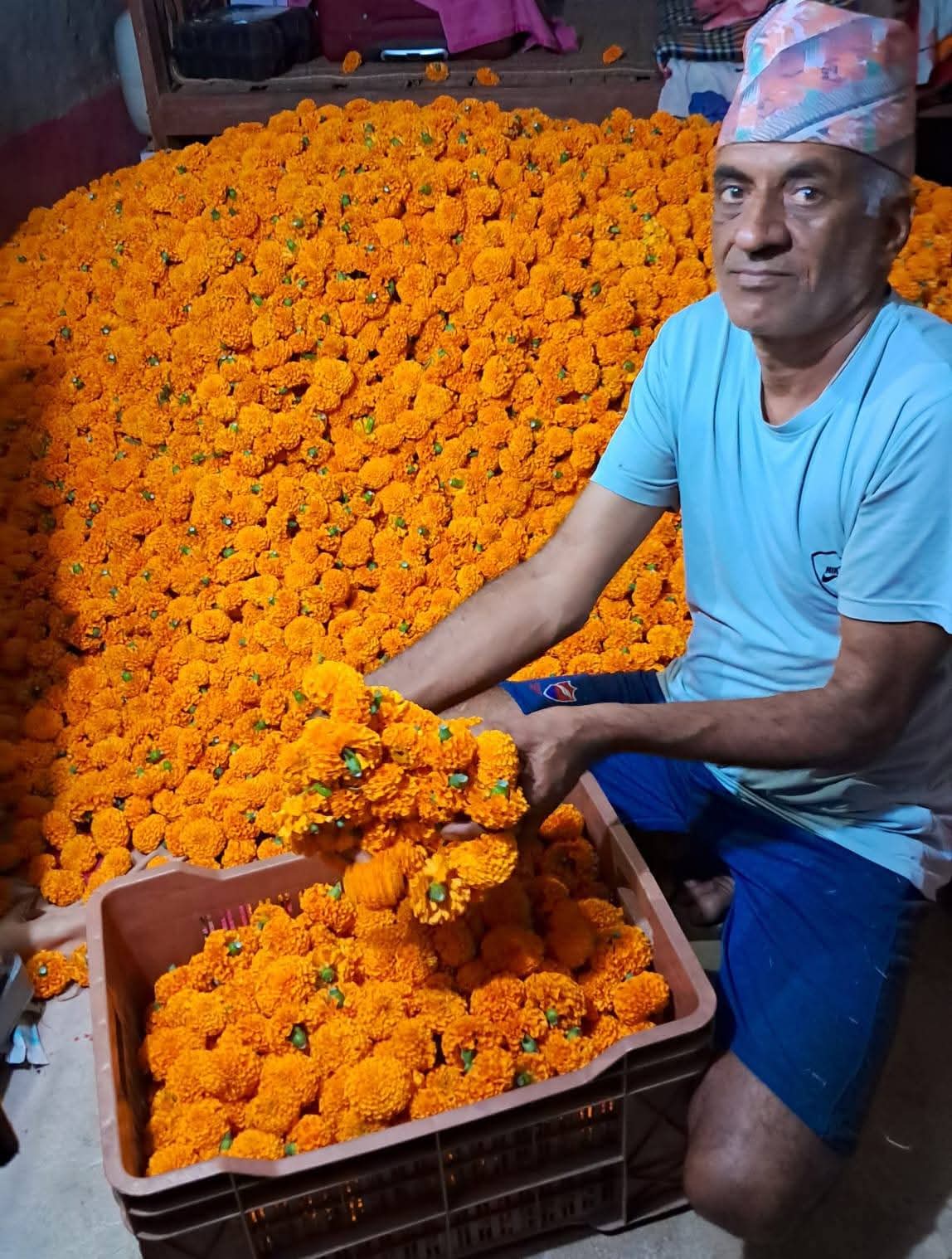 अवकाश पछि चापाकोटका भण्डारीको रहरलाग्दो  फूलखेती: १० लाख आम्दानी गर्ने लक्ष्य