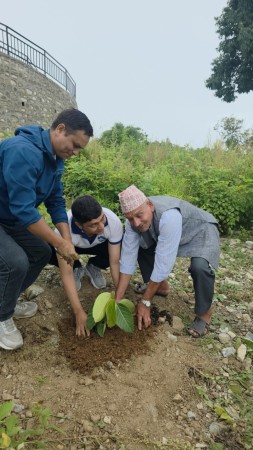 गरिमा विकास बैंकले वृक्षारोपण कार्यक्रम