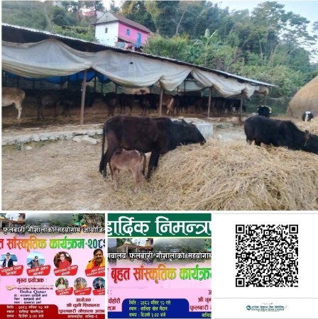 स्याङ्जाको वालिङमा गौशाला बचाउन 'ईन्द्रणी' कार्यक्रम: आर्थिक संकट टार्ने प्रयास!