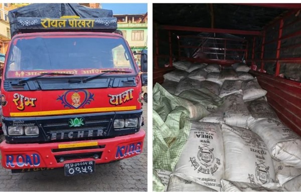 स्याङ्जाबाट बुटवल जाँदै गरेको मिनी ट्रकबाट ६० क्वीन्टल अवैध युरिया मल बरामद
