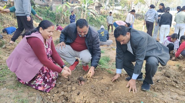 पढाइसँगै कमाइ: पूर्णमृत भवानी माविको कृषि क्रान्ति, १० रोपनीमा केरा खेती सुरु